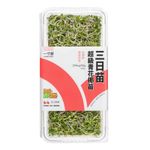一寸鮮超級青花椰苗-三日苗