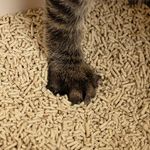 寵樂富田裡有貓砂