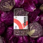 一寸鮮紫高麗苗-三日苗