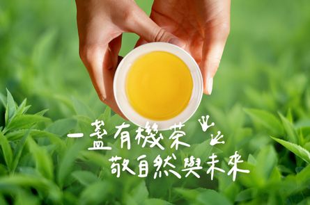 一盞有機茶，敬自然與未來