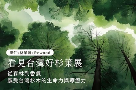 【看見台灣好杉】從森林到香氣，感受台灣杉木的生命力與療癒力