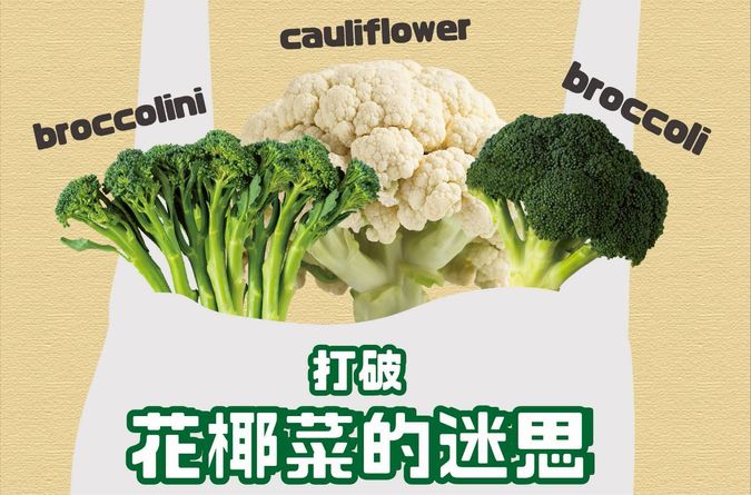 一次搞懂花椰菜的血緣關係！