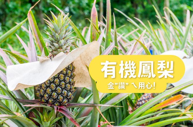 有機金鑽鳳梨的酸甜用心