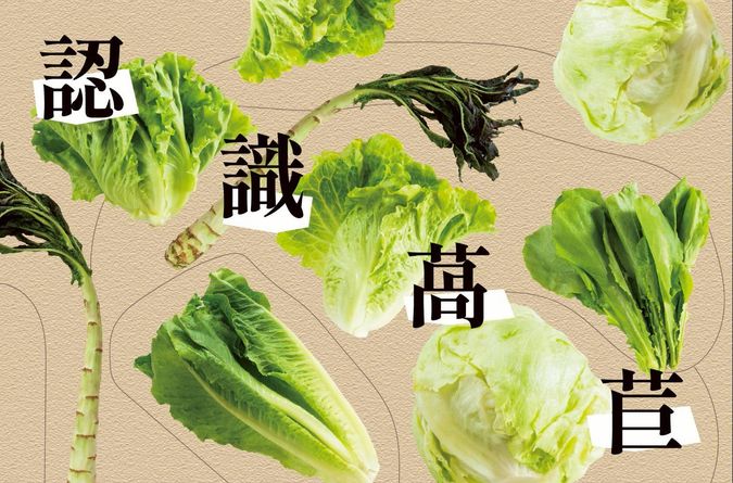 萵苣家族比一比