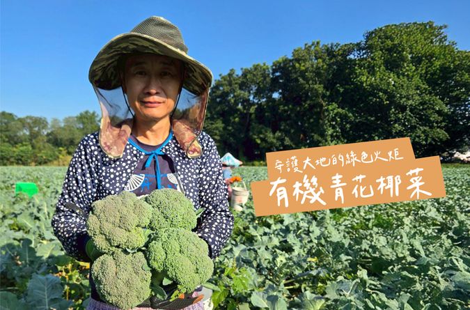 綠色火炬！有機青花椰菜