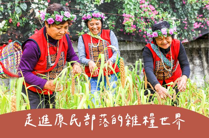 走進原民部落的雜糧世界