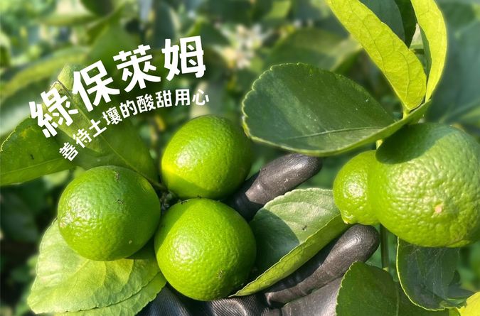 綠保萊姆 善待土壤的酸甜用心