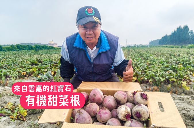 來自雲嘉的紅寶石：有機甜菜根