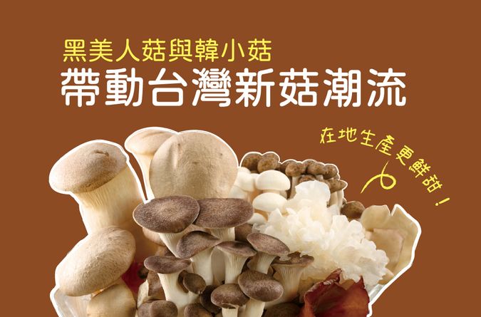 在地生產更鮮甜！黑美人菇與韓小菇帶動台灣新菇潮流