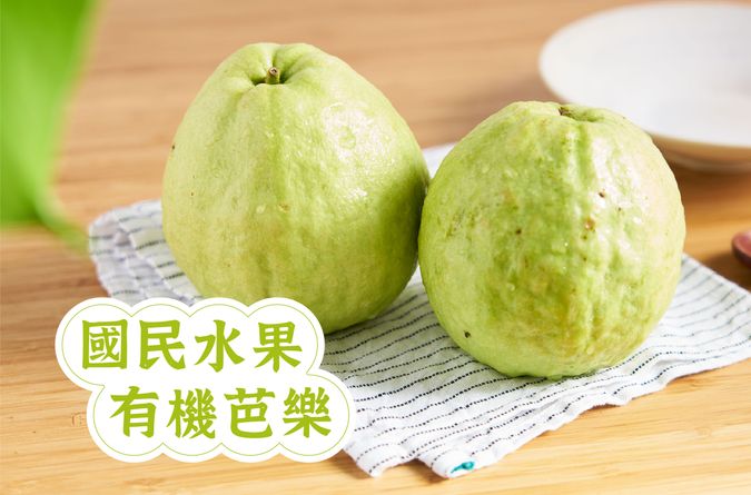 有機芭樂  國民水果王