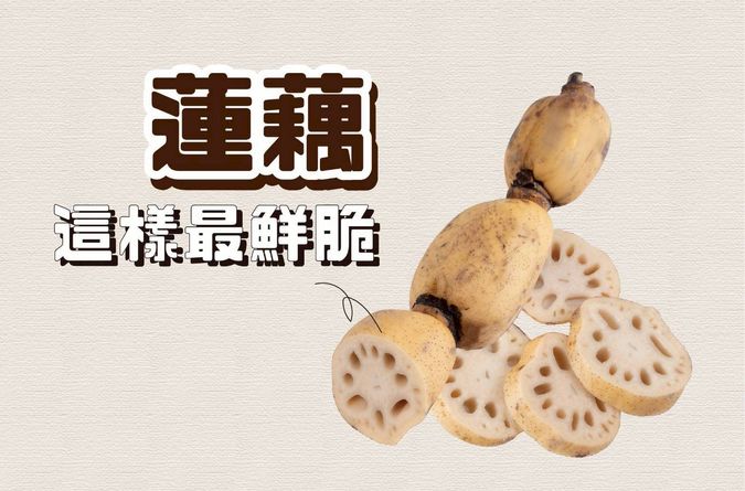 蓮藕挑選保存指南