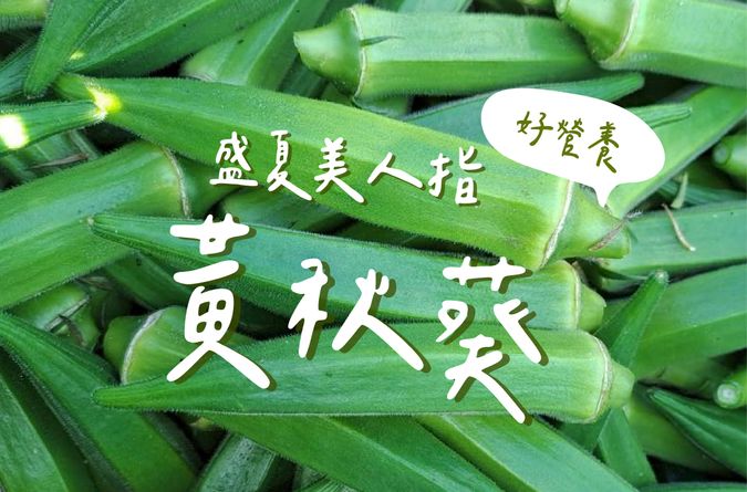 盛夏美人指-有機黃秋葵