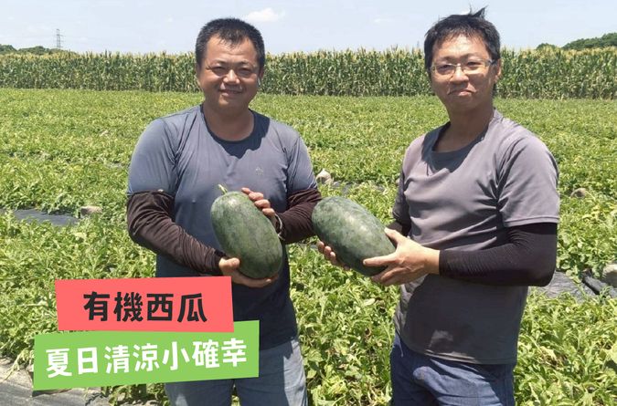 夏日清涼小確幸！有機西瓜