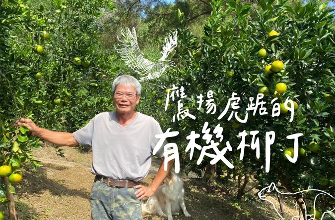 「鷹」揚「虎」踞 的有機柳丁