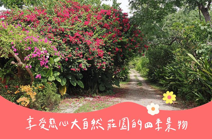 享受慈心大自然莊園的四季景物