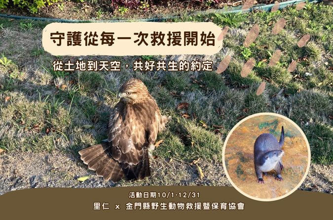 金門：野生動物的樂園與守護行動