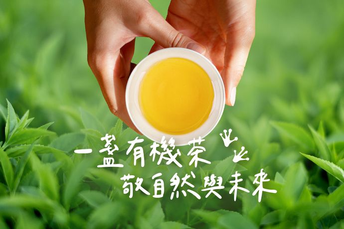 一盞有機茶,敬自然與未來