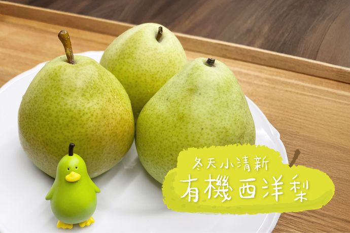有機西洋梨 冬天的小清新
