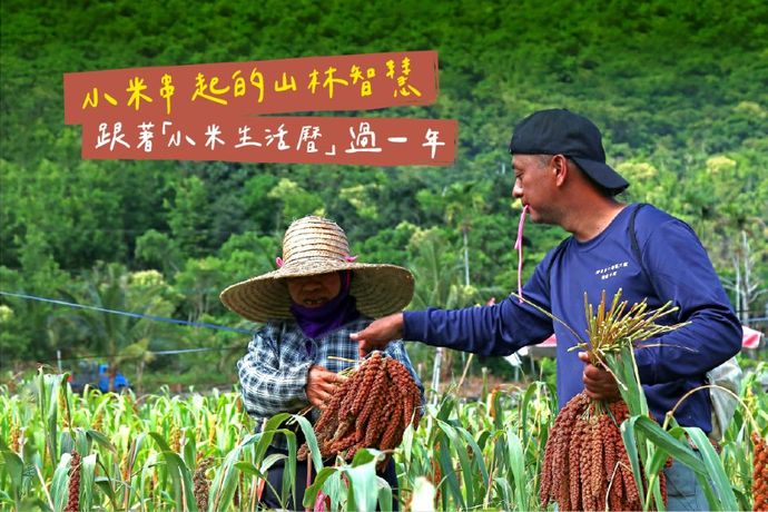 小米串起的山林智慧：跟著「小米生活曆」過一年