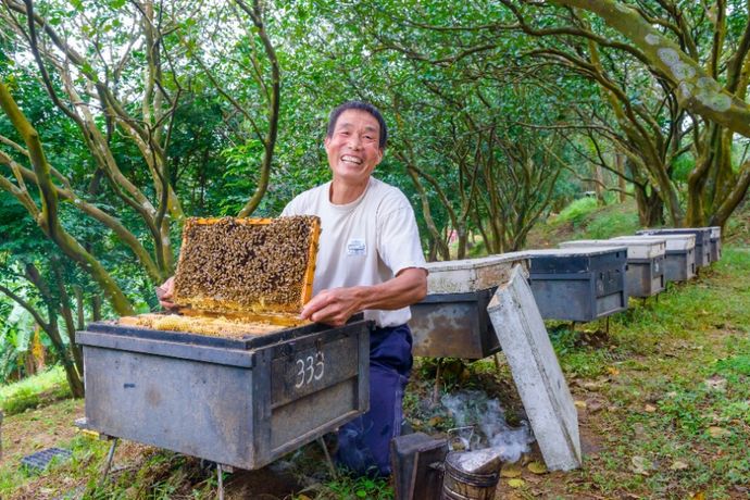 精釀讓東方蜂鷹安心過冬的蜂蜜