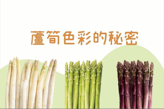常見蘆筍比一比