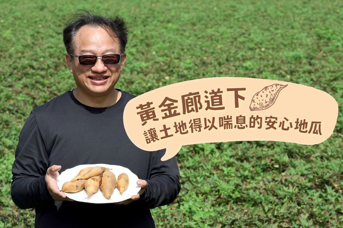 黃金廊道下的金色豐收 讓土地得以喘息的安心地瓜