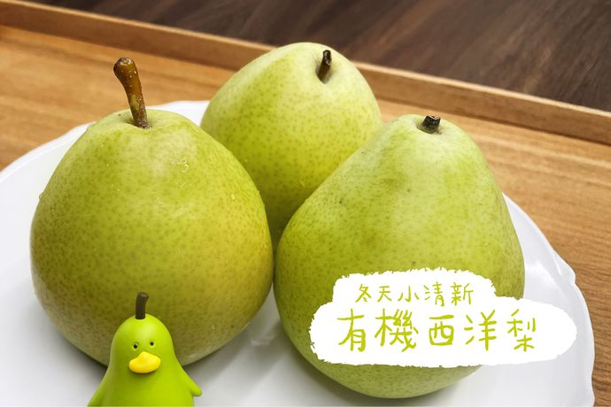 有機西洋梨 冬天的小清新