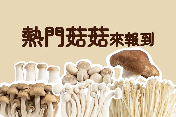 熱門菇菇來報到