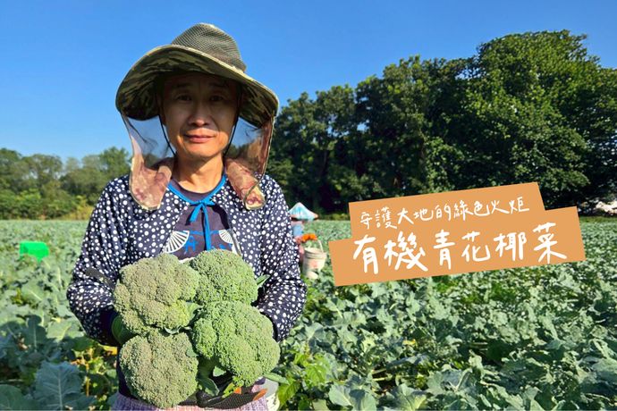 綠色火炬！有機青花椰菜