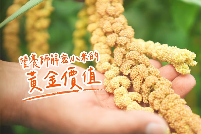 營養師解密小米的黃金價值