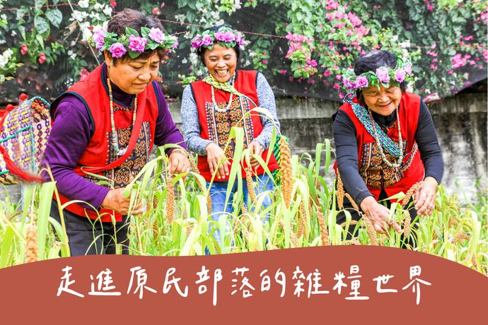 走進原民部落的雜糧世界