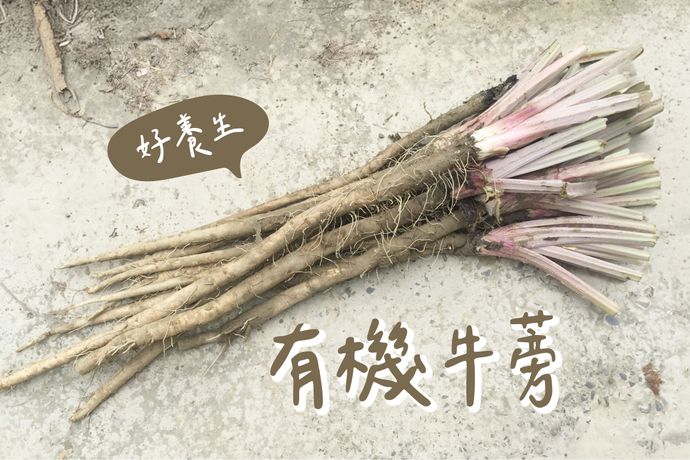 媲美人蔘的有機牛蒡！