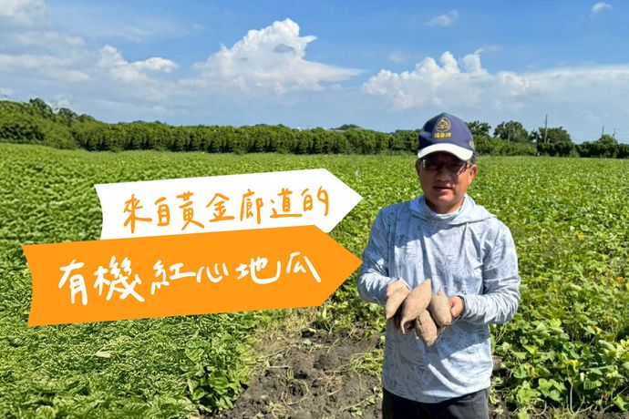 來自黃金廊道的有機紅心地瓜