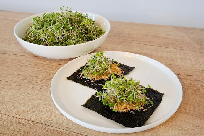 三日苗素鬆海苔捲