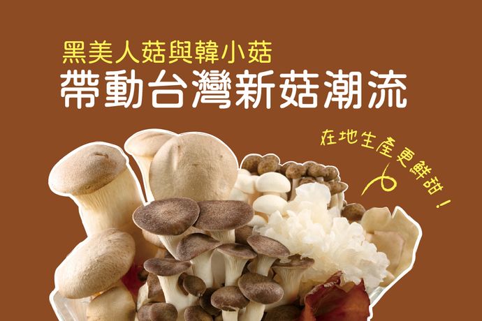 在地生產更鮮甜!黑美人菇與韓小菇帶動台灣新菇潮流