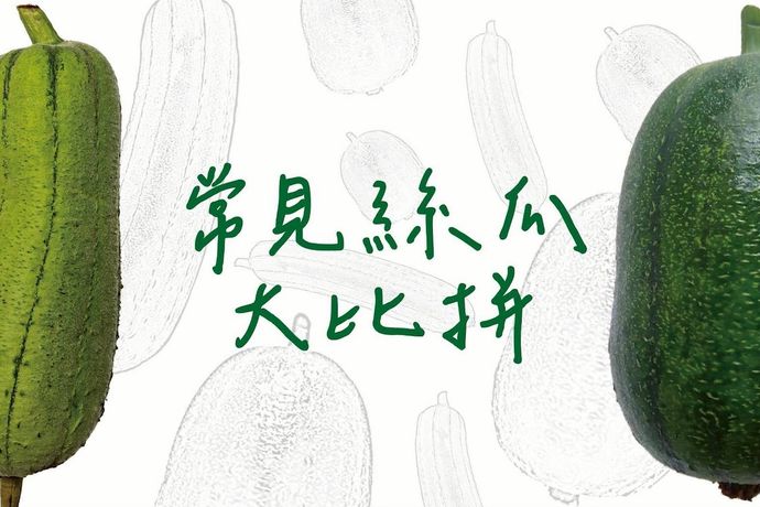常見絲瓜大比拼
