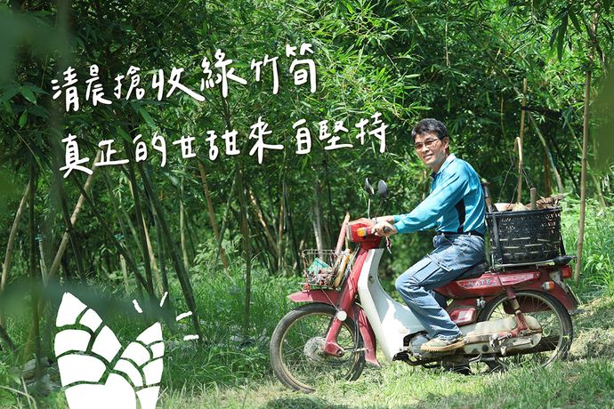 清晨搶收  盛夏清甜綠竹筍  真正的甘甜來自堅持