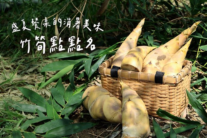 盛夏餐桌的消暑美味  竹筍點點名！