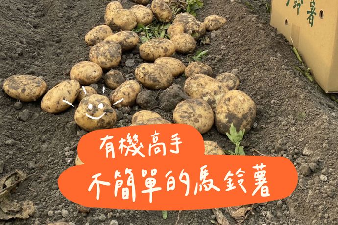 有機高手 不簡單的馬鈴薯
