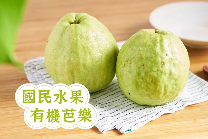 有機芭樂  國民水果王