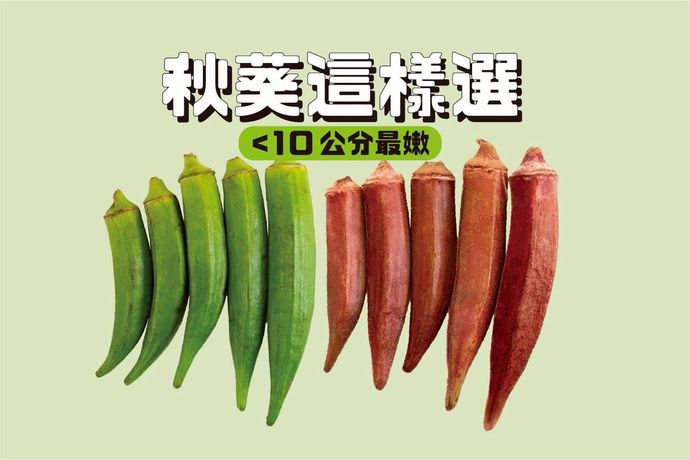 買鮮嫩秋葵,就要「毛毛的」!