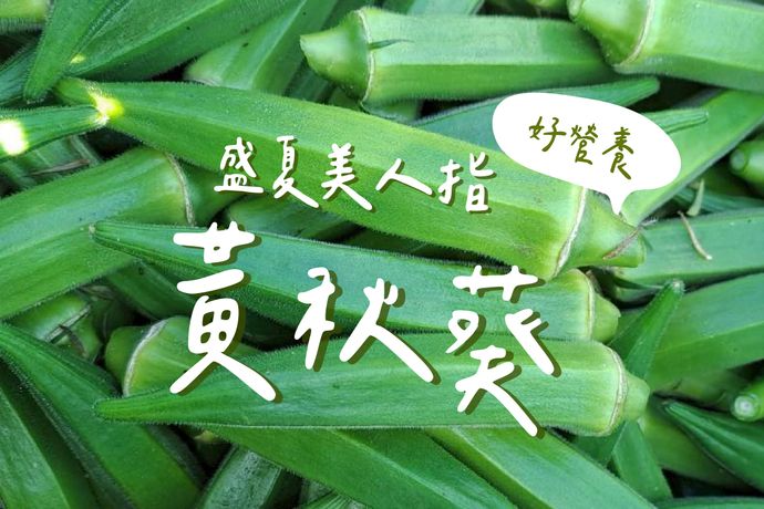 盛夏美人指-有機黃秋葵