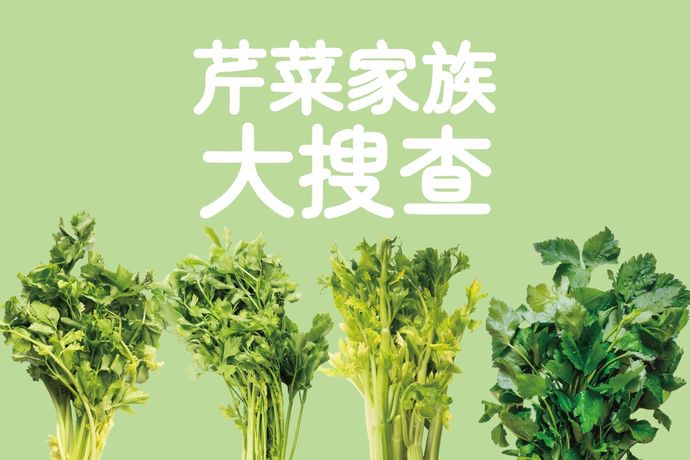 芹菜家族大搜查  煮湯熱炒兩相宜