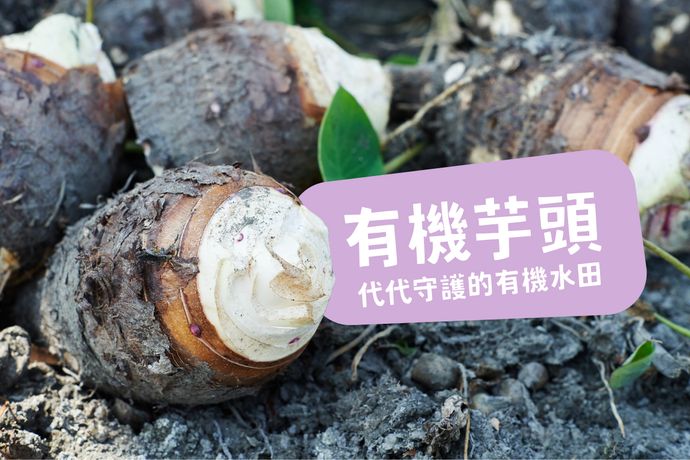 感動下一代的有機芋頭