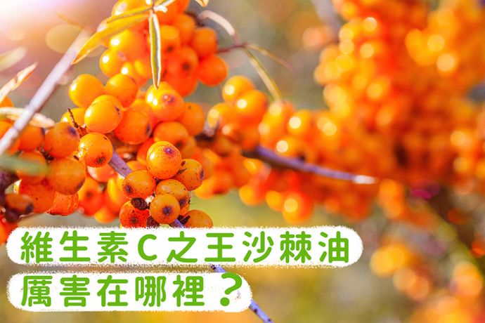 維生素C之王沙棘果，厲害在哪裡？