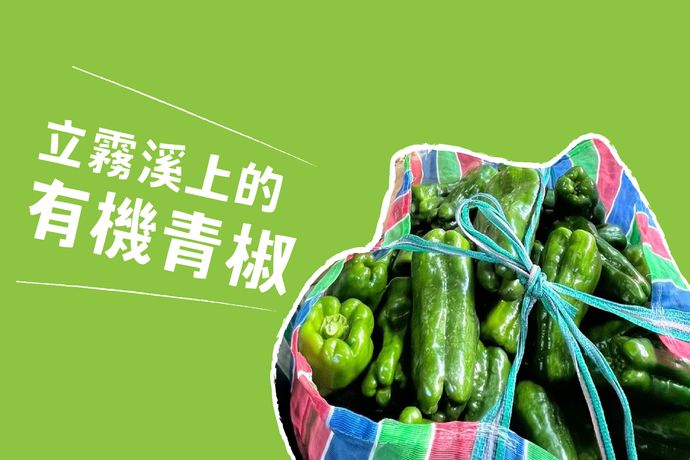 立霧溪上的有機青椒
