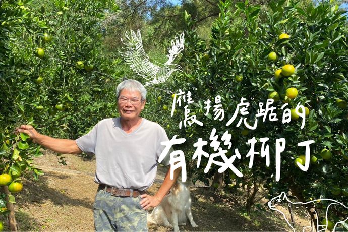 「鷹」揚「虎」踞 的有機柳丁