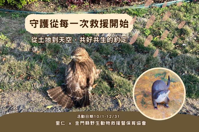 金門：野生動物的樂園與守護行動