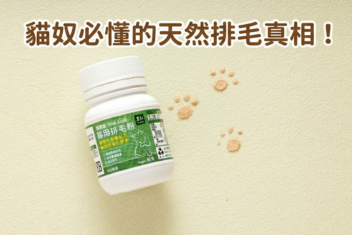 貓奴必懂的「天然排毛」真相!化毛膏 vs 排毛粉差別在哪?