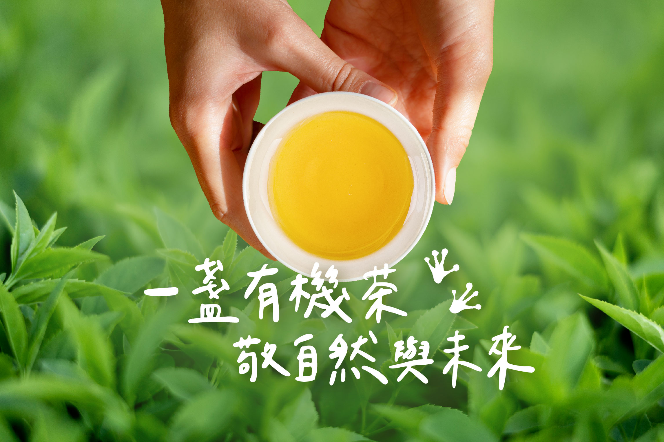 一盞有機茶,敬自然與未來